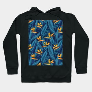 Night bird of paradise garden 2 Hoodie